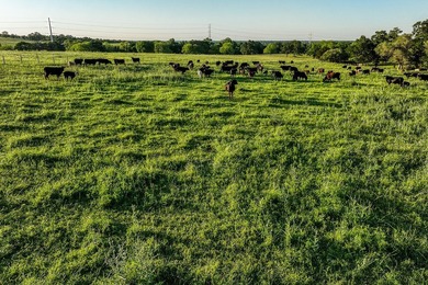 Perched on a scenic high ridge just minutes from Brenham, the - photo 19