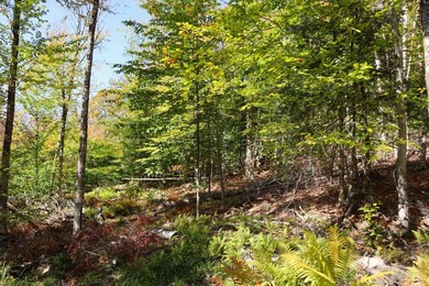 The perfect place to build your Adirondack dream home or camp - photo 20