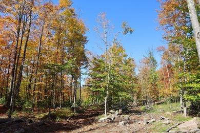 The perfect place to build your Adirondack dream home or camp - photo 21