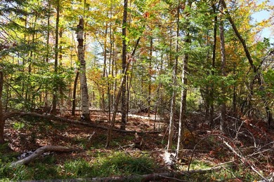 The perfect place to build your Adirondack dream home or camp - photo 23