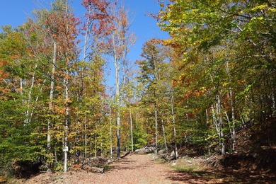 The perfect place to build your Adirondack dream home or camp - photo 25