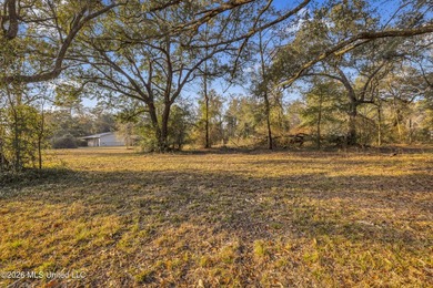 Half acre (+/-) available in this sought after corridor of Ocean - photo 2