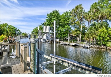 Park your BOAT at your back door. Move-in ready waterfront home - photo 8