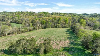 WELL ADMIRED FARM that includes 61 ACRES and a FULL BRICK HOME! - photo 14