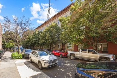 GREAT INVESTMENT OPPORTUNITY IN THE HEART OF GREENPOINT NY! THIS - photo 20