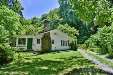 Carp Lake Home For Sale in Fairview North Carolina