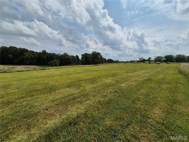 Lake Acreage For Sale in New Florence, Missouri