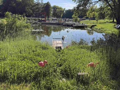 Level, easy-to-build lot on Lake Redstone with valuable - photo 21