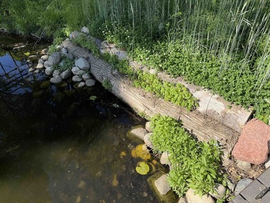 Level, easy-to-build lot on Lake Redstone with valuable - photo 22