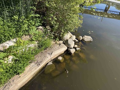 Level, easy-to-build lot on Lake Redstone with valuable - photo 24