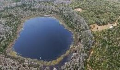 (private lake, pond, creek) Acreage For Sale in Marianna Florida