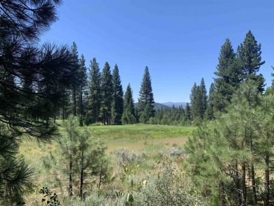 Lake Davis Lot For Sale in Portola California