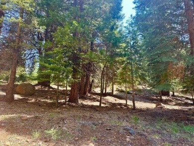 Lake Almanor Lot For Sale in Lake Almanor West California