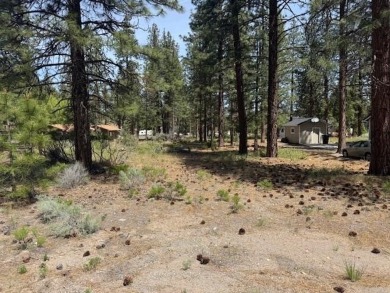 Lake Lot For Sale in Weed, California