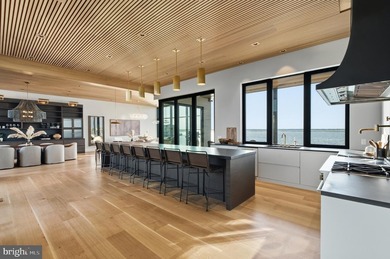Introducing one of the most significant bayfront residences ever - photo 19