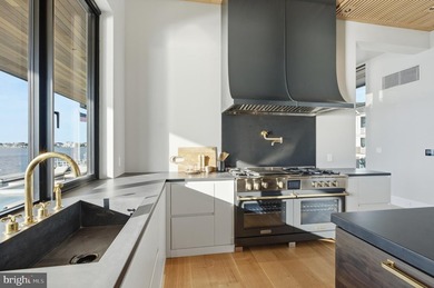 Introducing one of the most significant bayfront residences ever - photo 22
