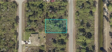 Lehigh Acres Area Lot For Sale in Lehigh Acres Florida