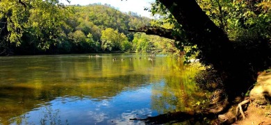 Lake Lot For Sale in Talcott, West Virginia