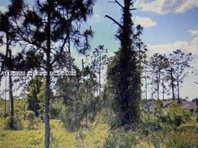 Lehigh Acres Area Lot For Sale in Lehigh Acres Florida