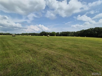 Lake Acreage For Sale in New Florence, Missouri