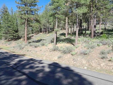 (private lake, pond, coastal) Acreage For Sale in Portola California