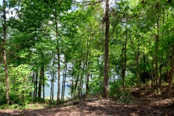 Wooded Deep Water Lot On Cullman Side Of Smith Lak - Lake Lot For Sale in Crane Hill, Alabama