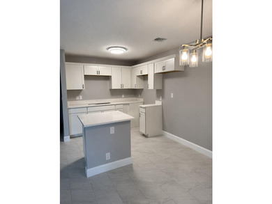 Beautifully Renovated 4-Bedroom, 2-Bath Home, No HOA! Discover - photo 4