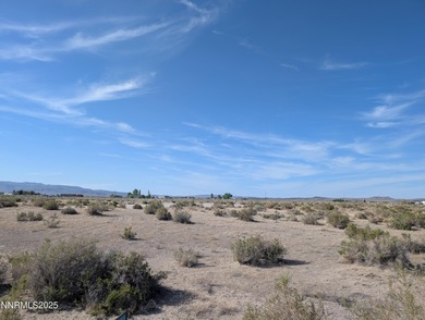 Lake Lahontan Acreage For Sale in Silver Springs Nevada