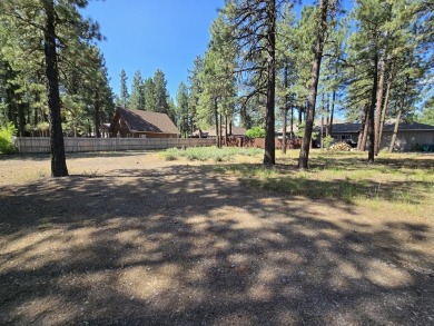 Lake Lot For Sale in Chester, California