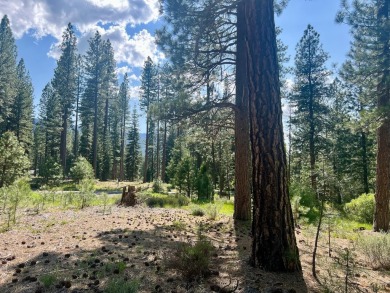 (private lake, pond, creek) Acreage For Sale in Clio California