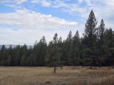 This is the Recreational property you have been waiting for!! - photo 11