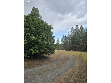 This is the Recreational property you have been waiting for!! - photo 12