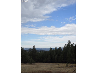This is the Recreational property you have been waiting for!! - photo 13