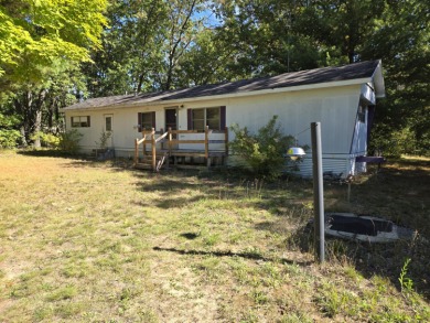 Lake Home For Sale in Baldwin, Michigan