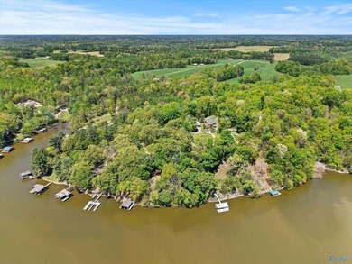 This stunning 4BR/4BA 3518 sf home has excellent water on Elk - photo 45