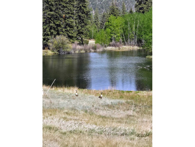 Tucked away in the peaceful mountain community of Valle - photo 46