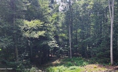 (private lake, pond, coastal) Acreage For Sale in Dingmans Ferry Pennsylvania