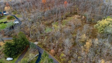Price Improvement! Now offered at $239,900, this 1.1-acre - photo 4