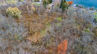 Price Improvement! Now offered at $239,900, this 1.1-acre - photo 8