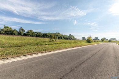 Each lot in Bellemead is prepped and ready for your vision. With - photo 11