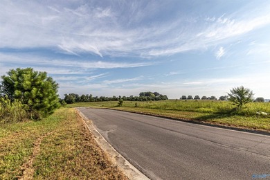 Each lot in Bellemead is prepped and ready for your vision. With - photo 16