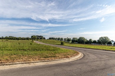 Each lot in Bellemead is prepped and ready for your vision. With - photo 17