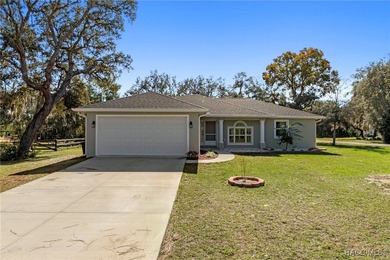 Davis Lake Home Sale Pending in Inverness Florida
