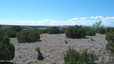 Concho Lake Lot For Sale in Concho Arizona