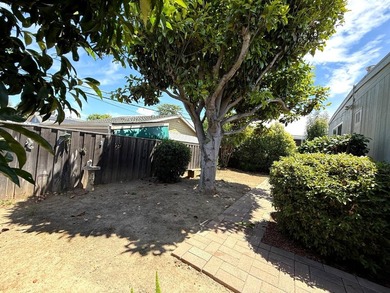 This 2-bedroom, 2-bathroom home features an additional pop-out - photo 9