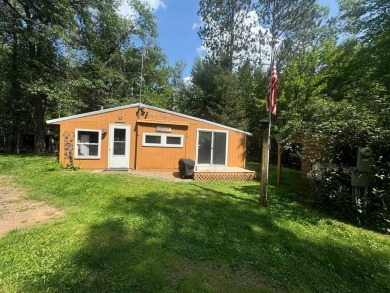 Lake Home For Sale in Windemere, Minnesota