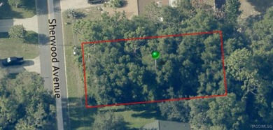 Lake Spivey Lot For Sale in Inverness Florida