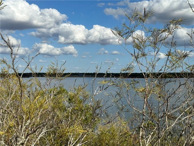 ONE OF THE LAST WATERFRONT LOTS IN CARMEL HILLS-- with beautiful - photo 8
