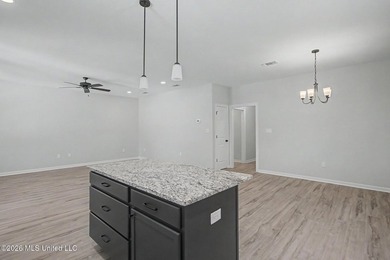 You'll feel right at home in this beautiful new construction - photo 8