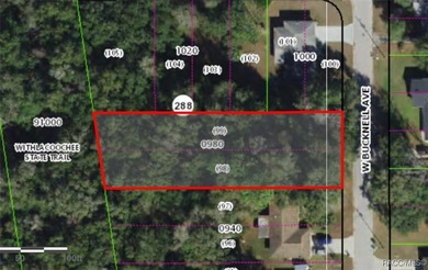 Lake Spivey Lot For Sale in Inverness Florida